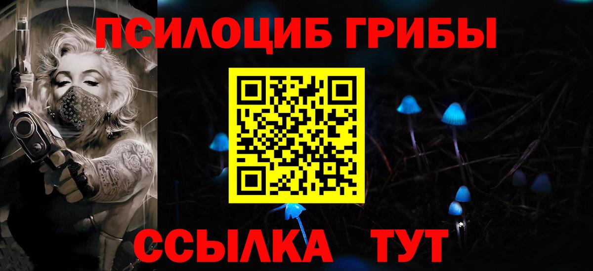 Междуреченск  Галлюциногенные грибы мухоморы  Вход с VPN 